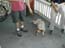 dscn0411.jpg