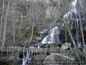 DSCN0967.jpg