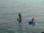 2005-07-15_06-37-41.jpg
