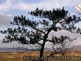 Picture_007.jpg
