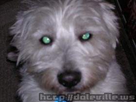 Picture_079.jpg