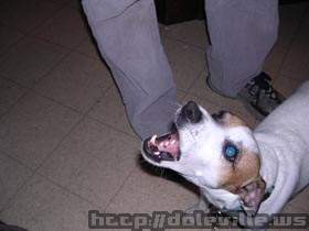 Picture_154.jpg