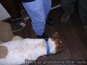 Picture_170.jpg