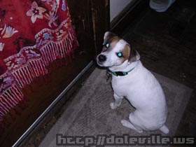 Picture_178.jpg