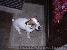 Picture_179.jpg