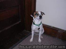 Picture_183.jpg