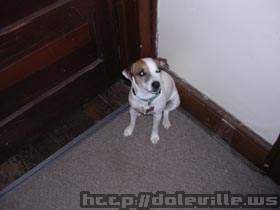 Picture_184.jpg