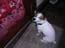 Picture_178.jpg