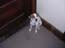 Picture_184.jpg