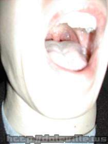 DSCN1162.jpg