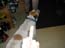 DSCN1099.jpg