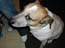 DSCN1144.jpg
