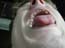 DSCN1200.jpg
