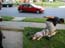 DSCN1220.jpg