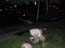 DSCN1253.jpg