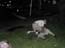 DSCN1254.jpg