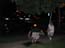 DSCN1255.jpg