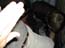 DSCN1267.jpg