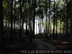 DSCN1333.jpg
