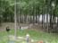 DSCN1317.jpg