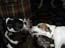 DSCN1343.jpg