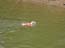 DSCN1351.jpg