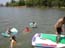 DSCN1356.jpg