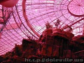 DSCN1427.jpg