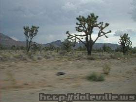 DSCN1524.jpg