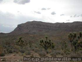 DSCN1528.jpg