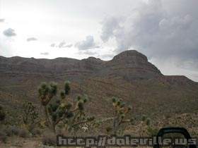 DSCN1529.jpg