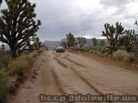 DSCN1567.jpg