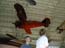 DSCN1375.jpg
