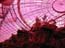 DSCN1427.jpg