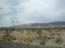DSCN1520.jpg