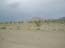 DSCN1523.jpg