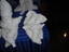 dsc00204.jpg