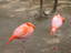 dsc00236.jpg