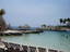 dsc00241.jpg
