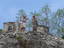 dsc00251.jpg