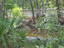 dsc00262.jpg