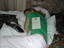 dscn1900.jpg