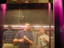 dscn1915.jpg