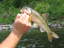 2006-06-12_04-13-07.jpg