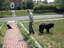 2006-06-17_15-59-02.jpg