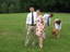 2006-06-25_04-20-11.jpg