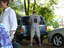 2006-09-03_17-05-49.jpg