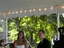 2007-06-23_18-23-09.jpg