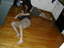 2007-09-15_02-26-09.jpg