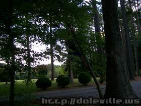 2008-07-19_20-05-11.jpg